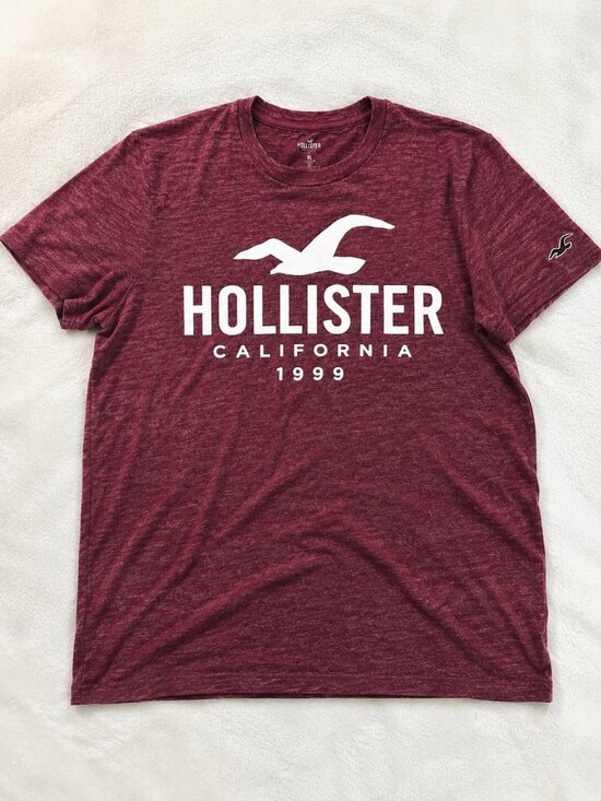 Hollister Other - Hollister California 1999 Graphic Logo T-Shirt Mens XL Heather Burgundy